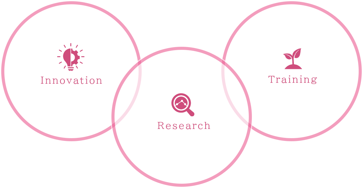 Innovation Research Training
